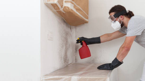 Professional Mold Inspection And Testing technician working in Johnstown, NY
